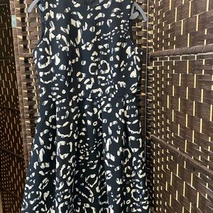 H&M Black Dress with Cream Spot Print